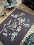 Affiche "Branche de chêne" - Décoration - Papeterie