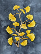 Peinture Originale à l'Aquarelle - Branche de Ginkgo Biloba