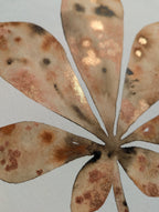 Peinture Originale à l'Aquarelle - Feuille de Marronnier