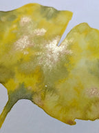 Peinture Originale à l'Aquarelle - Feuille de Ginkgo Biloba