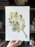 Peinture Originale à l'Aquarelle - Feuille de Chêne - A4